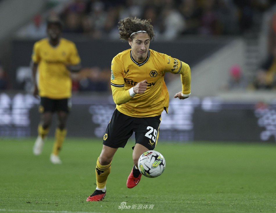 在网上引发 在网上引发